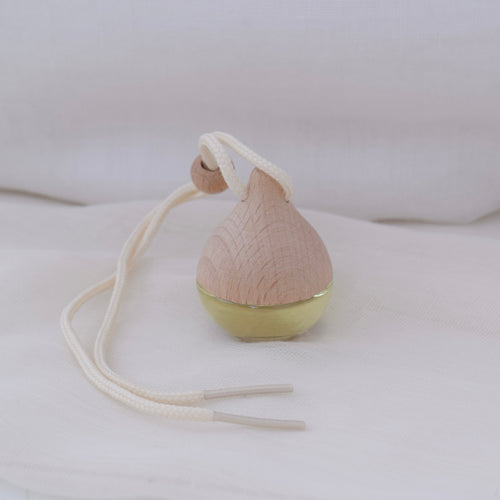 Car diffuser, also known as a car air freshener. 